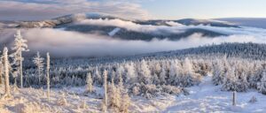 widok na zaśnieżony las i góry
